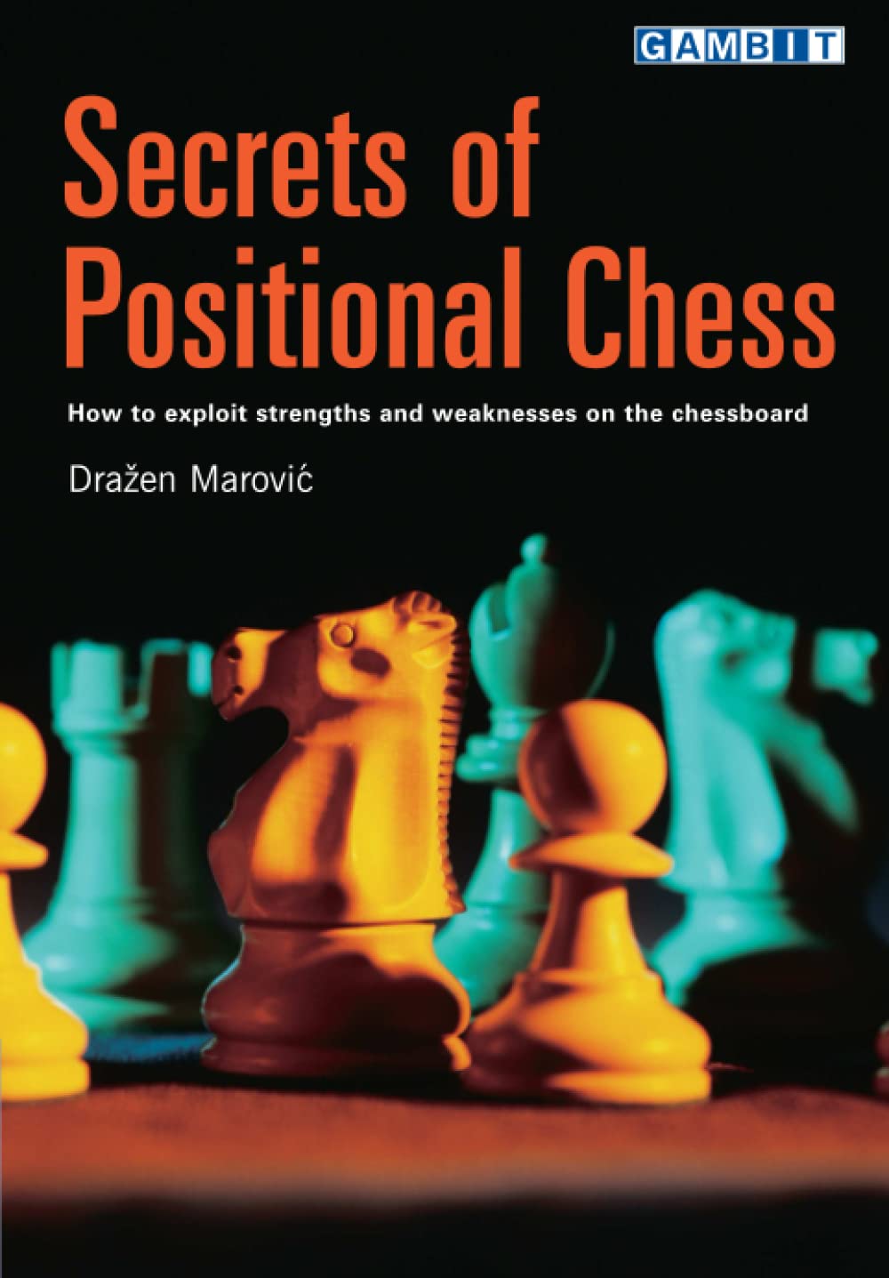 Secrets of Positional Chess